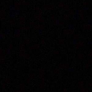 Meet your Posher, Westin